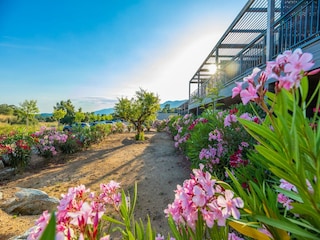 Parc de vacances Lecci Enregistrement extérieur 8