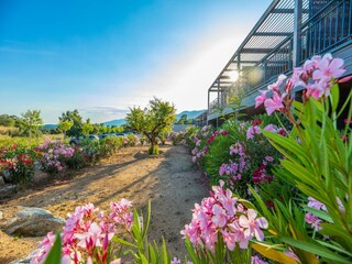 Vakantiepark Lecci Buitenaudio-opname 6