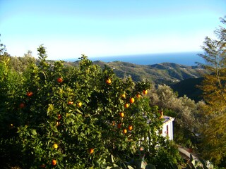 Casa per le vacanze Sayalonga Ambiente 24