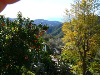 Casa per le vacanze Sayalonga Registrazione all'aperto 9