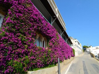 Appartement L'Estartit Buitenaudio-opname 7