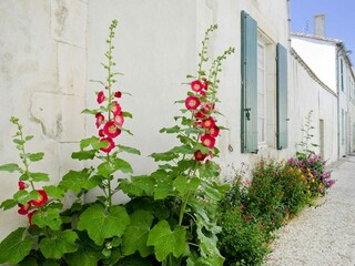 Parco vacanze Le Bois-Plage-en-Ré Registrazione all'aperto 8