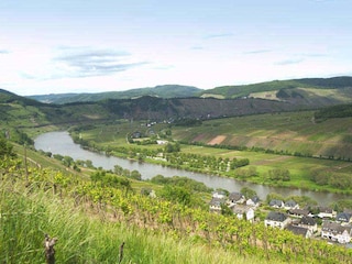 Blick auf die Mosel links