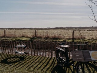 Vakantiehuis Callantsoog  13