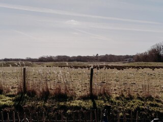 Ferienhaus Callantsoog  21