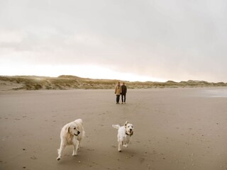 Vakantiehuis Callantsoog  30