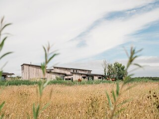 Ferienhaus Callantsoog Außenaufnahme 2