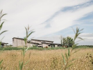 Vakantiehuis Callantsoog Buitenaudio-opname 15