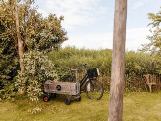 Vakantiehuis Callantsoog Buitenaudio-opname 18