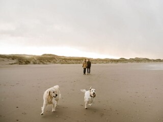 Vakantiehuis Callantsoog  37