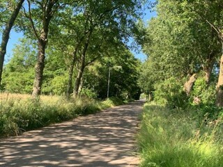 Parco vacanze Wieringen Ambiente 30