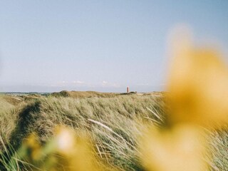Vakantiepark Julianadorp Omgeving 33