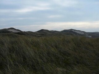 Vakantiepark Julianadorp Omgeving 33