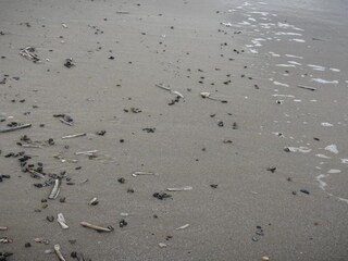 Holiday park Julianadorp Environment 25