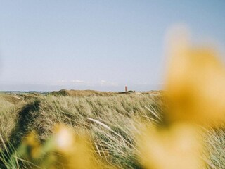 Vakantiepark Julianadorp Omgeving 34