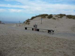 Vakantiepark Julianadorp Omgeving 35