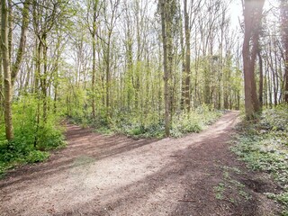 Bungalow Welt Environnement 34