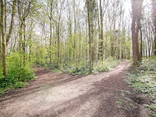 Bungalow Welt Omgeving 35