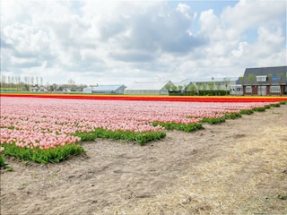 Bungalow Welt Omgeving 35