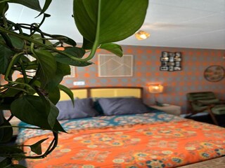 Vakantiehuis Noordgouwe Buitenaudio-opname 2