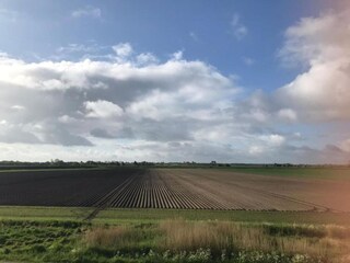 Vakantiehuis Noordgouwe Omgeving 26