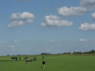 Vakantiehuis Noordgouwe Omgeving 27