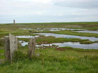 Vakantiehuis Noordgouwe Omgeving 38