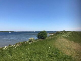 Vakantiehuis Noordgouwe Omgeving 28