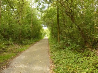 Vakantiehuis Noordgouwe Omgeving 30