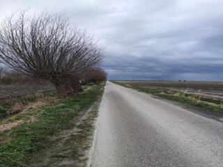 Vakantiehuis Noordgouwe Omgeving 35