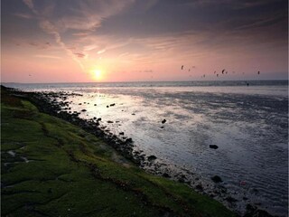 Vakantiehuis Noordgouwe Omgeving 32