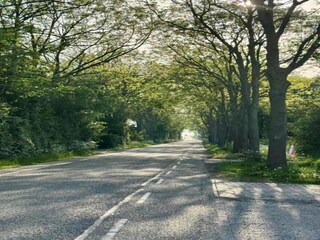 Ferienhaus Noordgouwe Umgebung 37