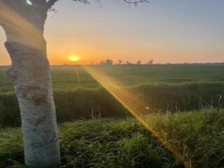 Maison de vacances Noordgouwe Environnement 25