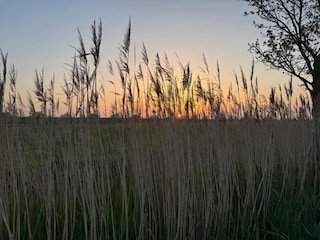 Holiday house Noordgouwe Environment 32