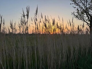 Vakantiehuis Noordgouwe Omgeving 33