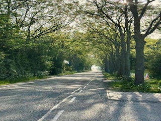 Vakantiehuis Noordgouwe Omgeving 36