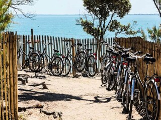 Apartment Noirmoutier  1