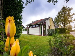 Vakantiepark Heinkenszand Buitenaudio-opname 1