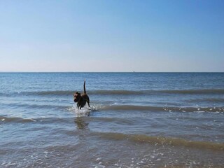 Vakantiepark Heinkenszand Omgeving 18