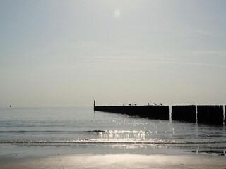 Parco vacanze Heinkenszand Ambiente 15