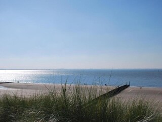 Vakantiepark Heinkenszand Omgeving 9