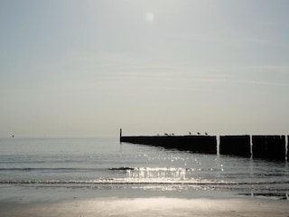 Holiday park Heinkenszand Environment 8