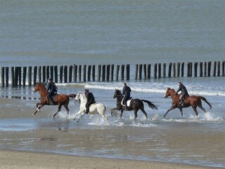 Appartamento Groede Ambiente 20