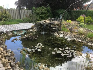 Vakantiehuis Groede Buitenaudio-opname 2