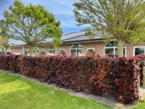 Apartment Wohnung in Groede nahe Strand - Groede - image1