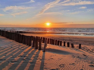 Apartment Groede Umgebung 18