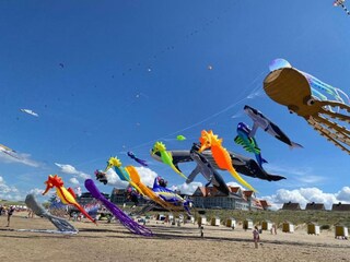 Appartement Groede Environnement 9