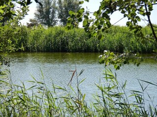Apartment Groede Environment 23