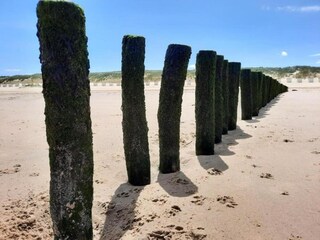 Appartement Groede Environnement 34