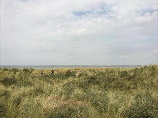 Appartement Groede Environnement 18